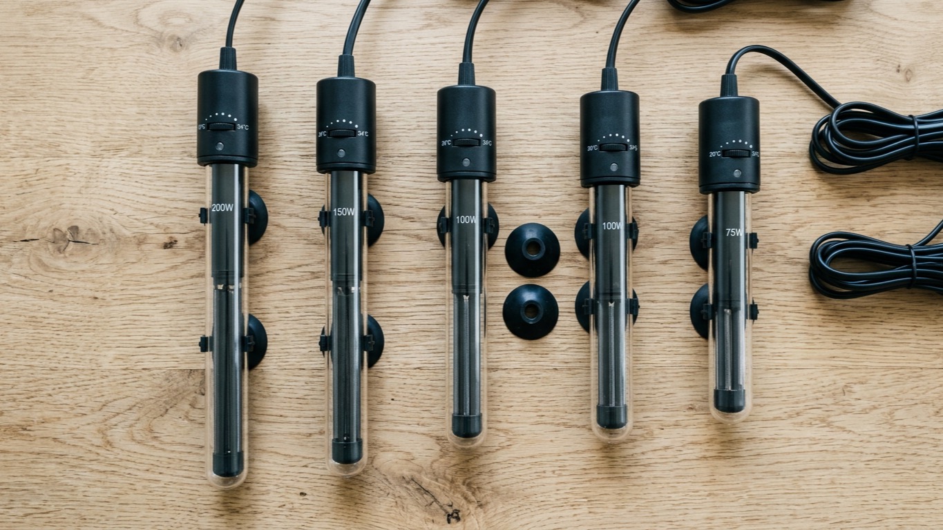 7 Best Aquarium Heaters for 2026: Picks for Freshwater & Saltwater Tanks
